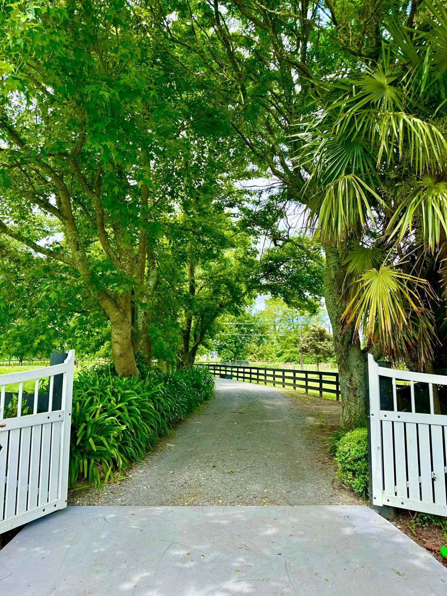 Matamata Country B&B Exterior foto